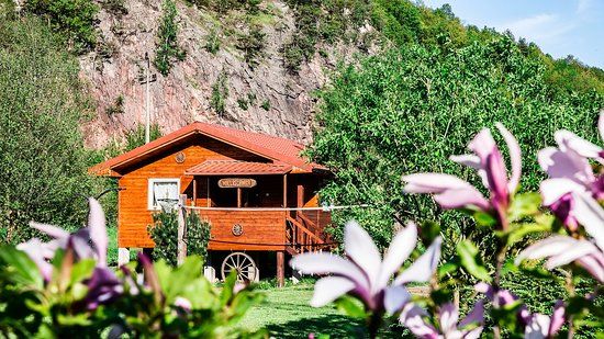 Organy Wielisławskie